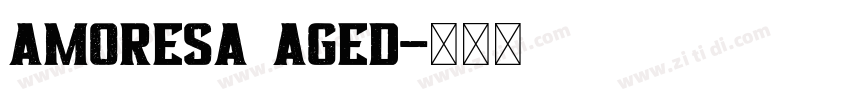 Amoresa Aged字体转换
